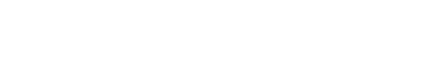 NOVOTICA